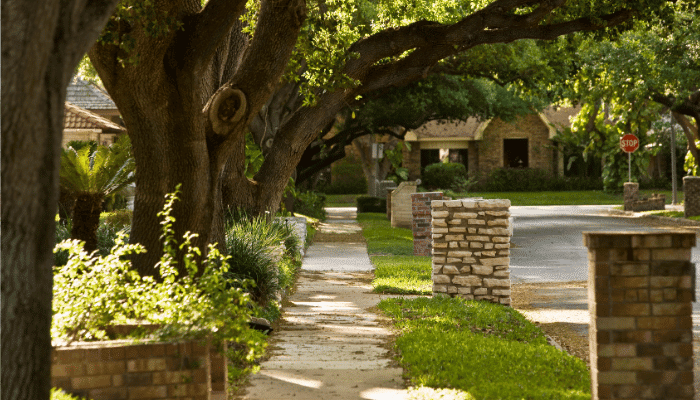 Residential Chicago street showing the parkway area between sidewalk and curb, where homeowner sewer laterals typically run.