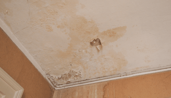Water damage on a basement ceiling showing peeling paint and moisture stains caused by poor foundation drainage.
